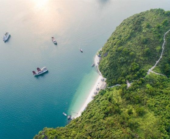 Đảo Soi Sim - Hạ Long